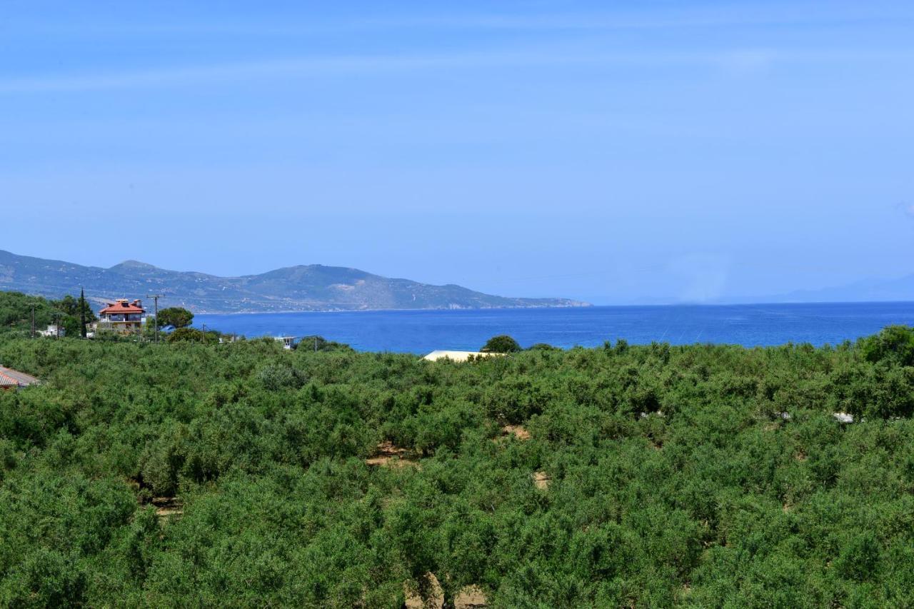 Asteria Apartments Zakynthos Buitenkant foto